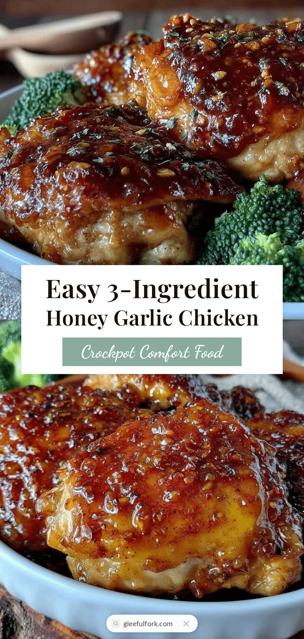 crockpot honey garlic chicken recipe