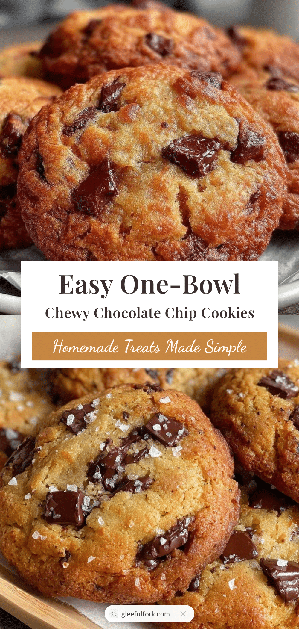 easy one-bowl chewy chocolate chip cookies recipe