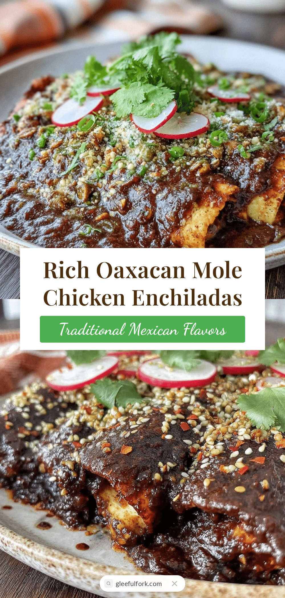 Oaxacan black mole chicken enchiladas recipe