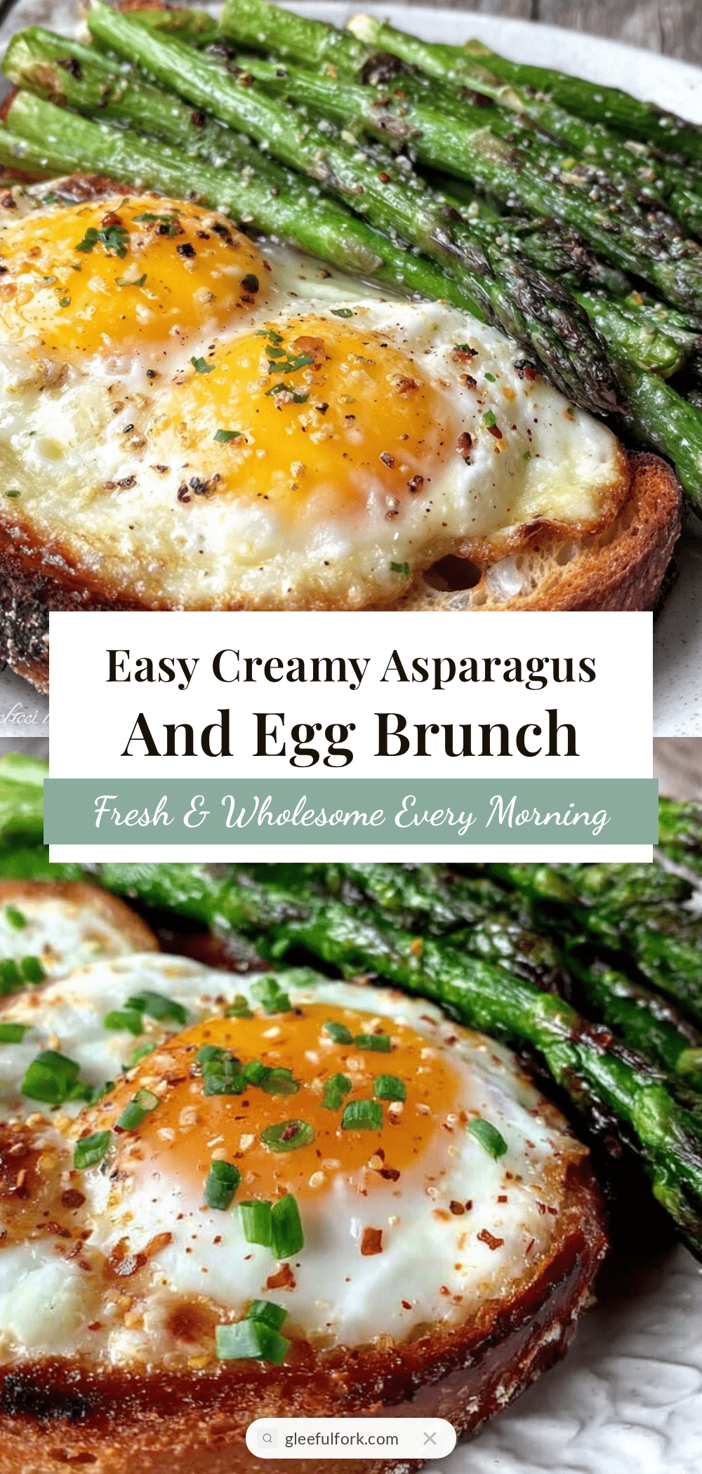 creamy asparagus egg breakfast recipe