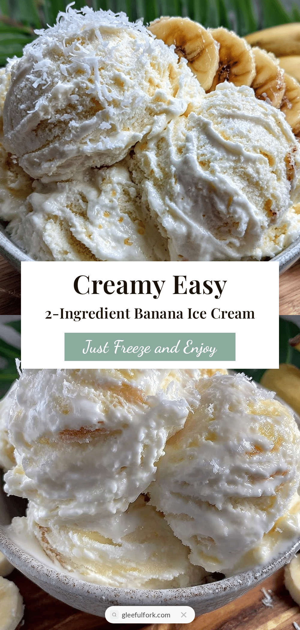 easy 2-ingredient banana ice cream recipe