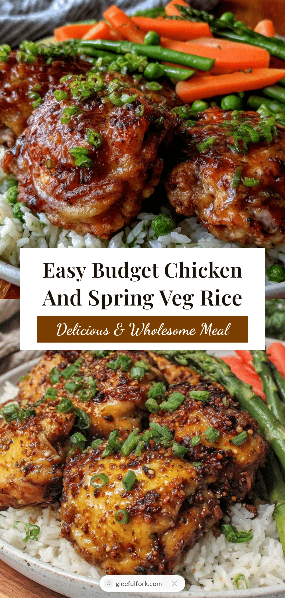easy cheap chicken and rice recipe recipe