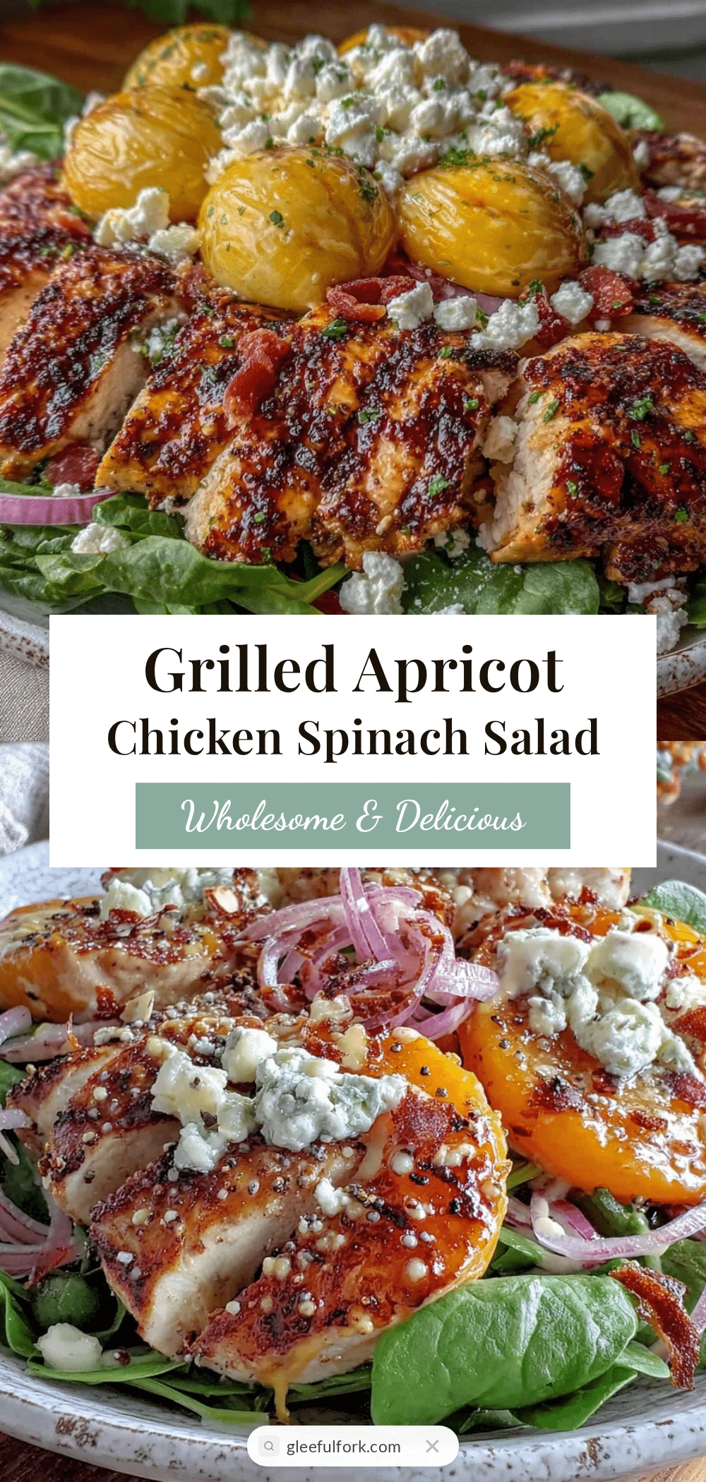 fresh grilled apricot chicken spinach salad recipe
