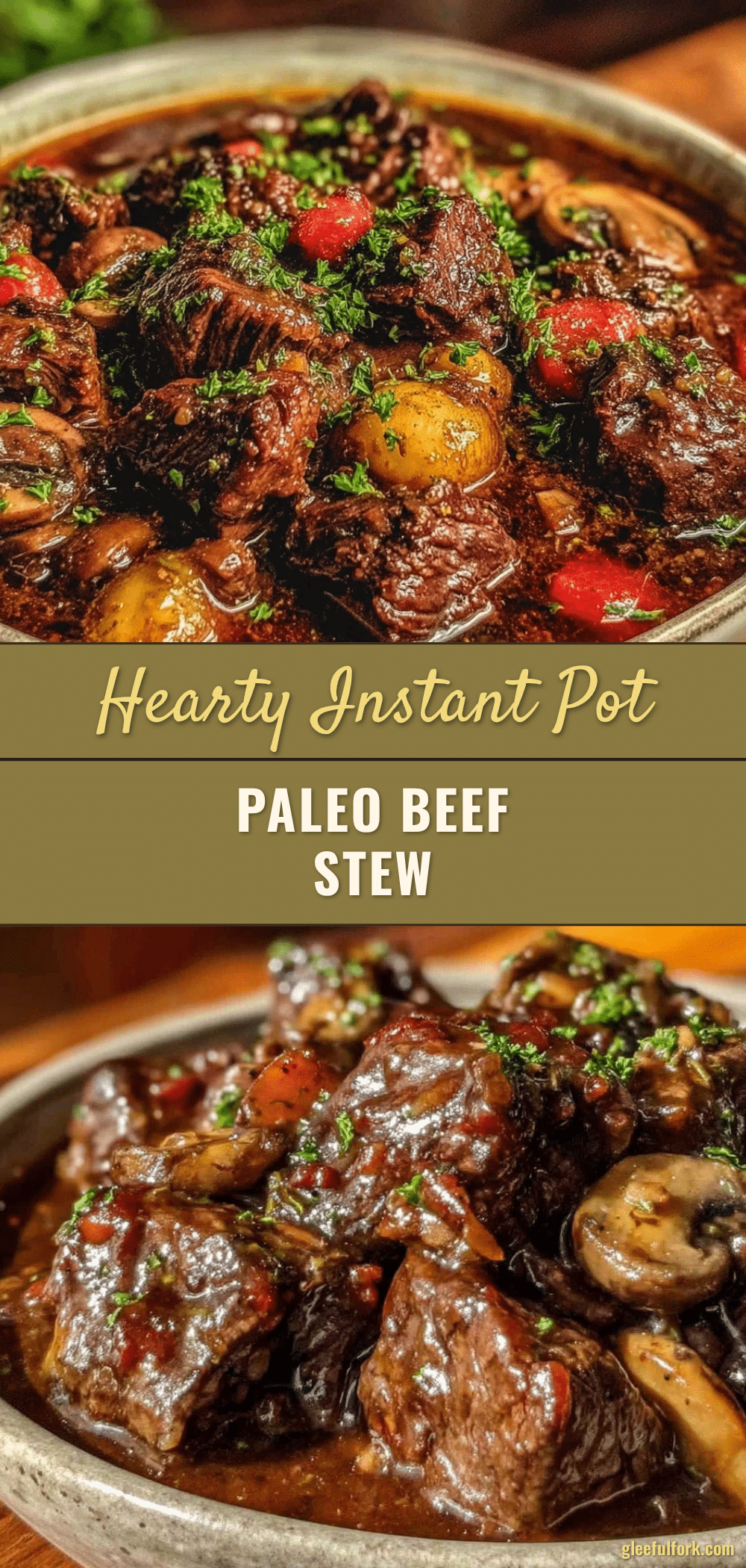 Instant Pot Paleo Beef Stew recipe