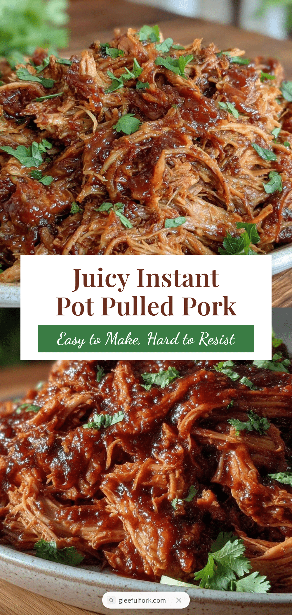 Instant Pot pulled pork recipe