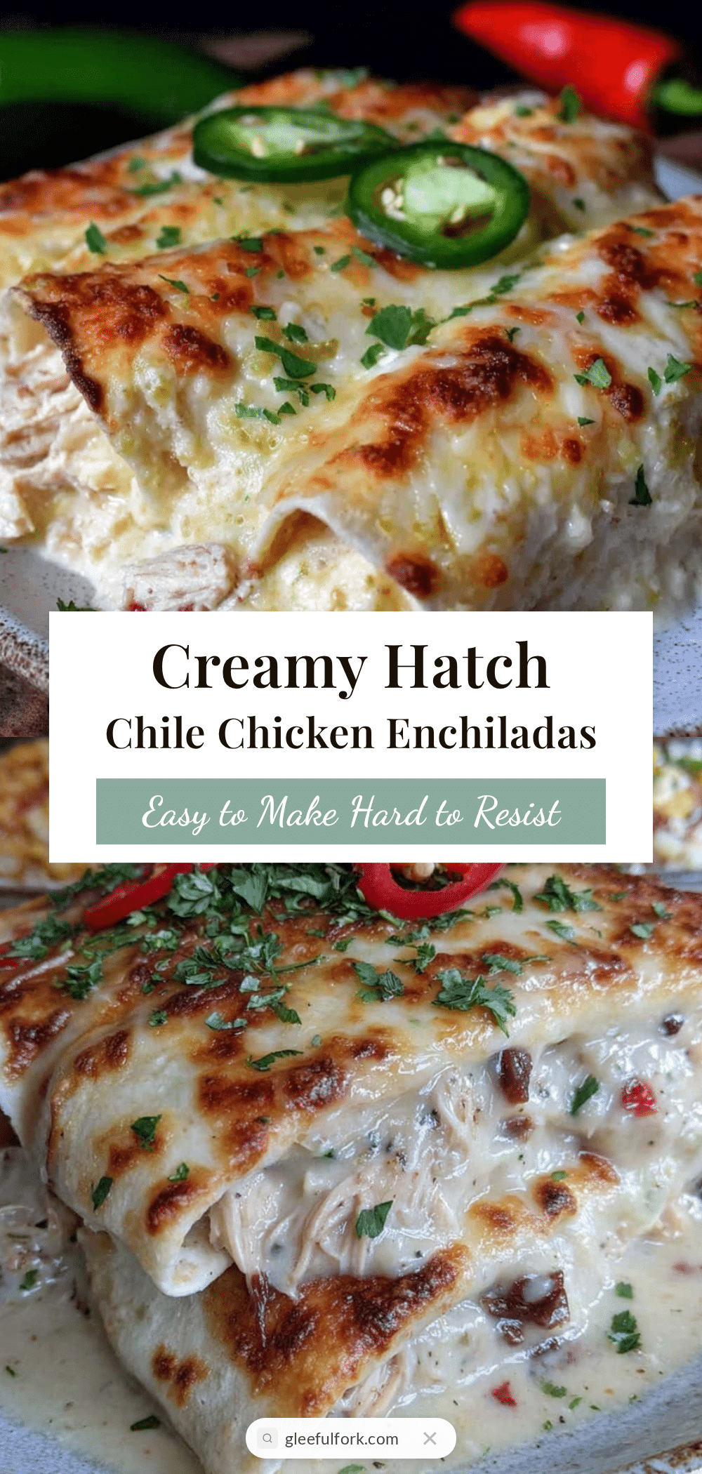creamy hatch chile chicken enchiladas recipe