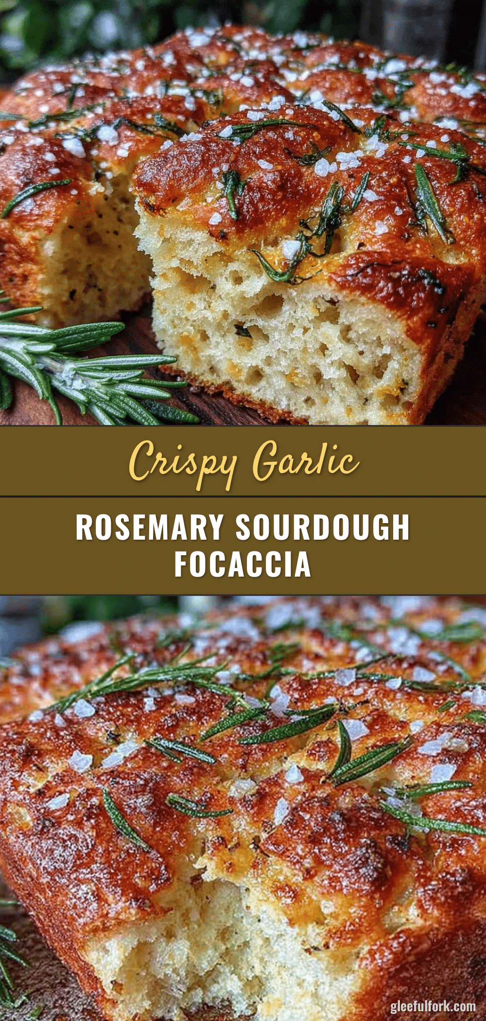 crispy garlic rosemary sourdough focaccia recipe