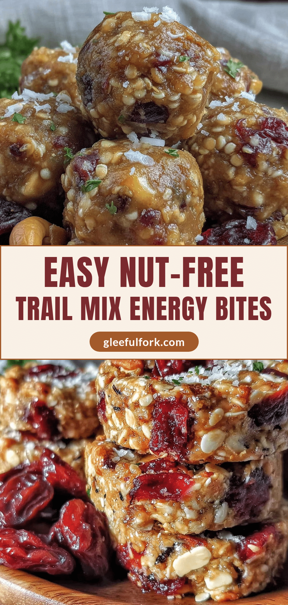 nut-free trail mix energy bites recipe
