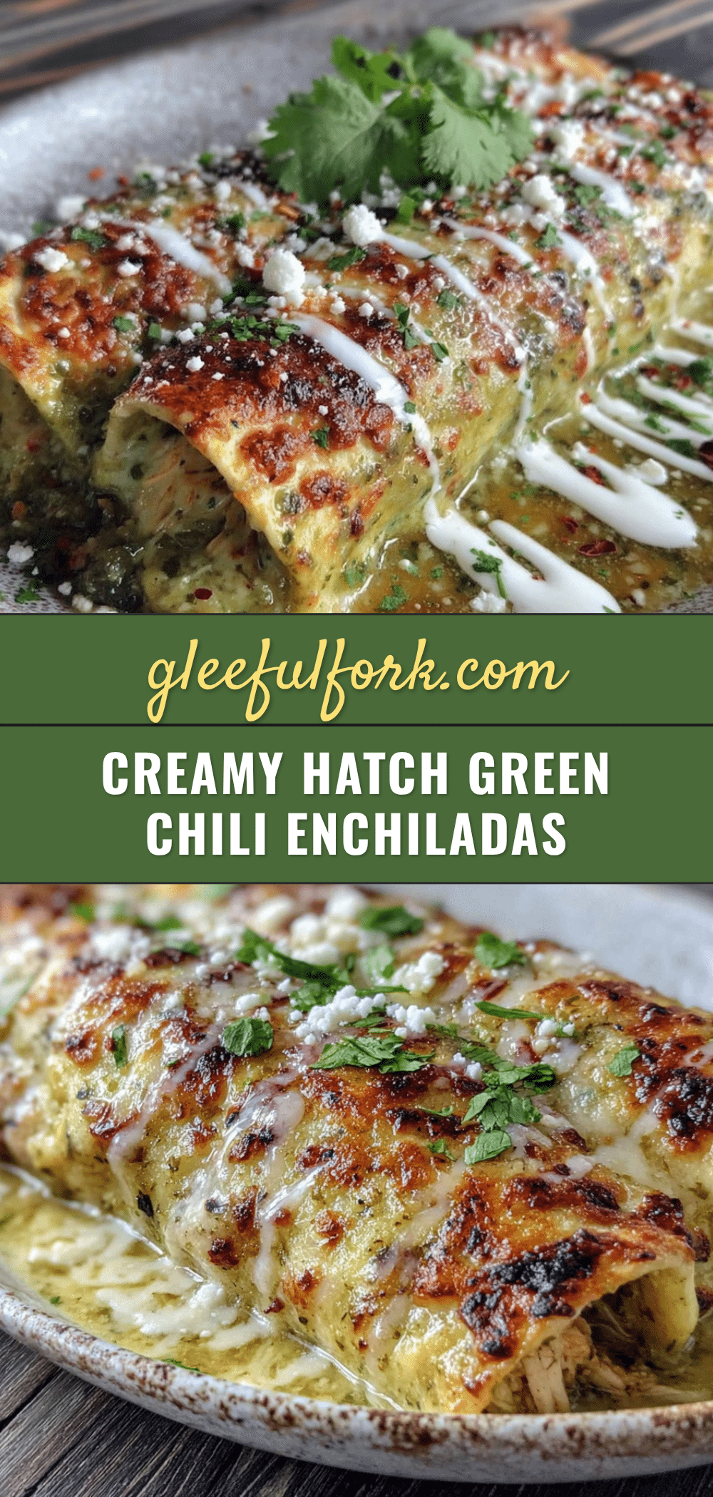 Creamy Hatch Green Chile Chicken Enchiladas recipe
