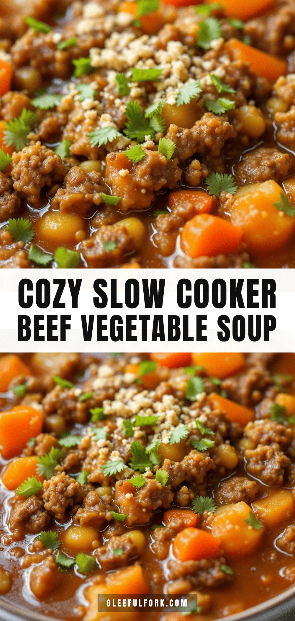 slow cooker ground beef and vegetable soup recipe