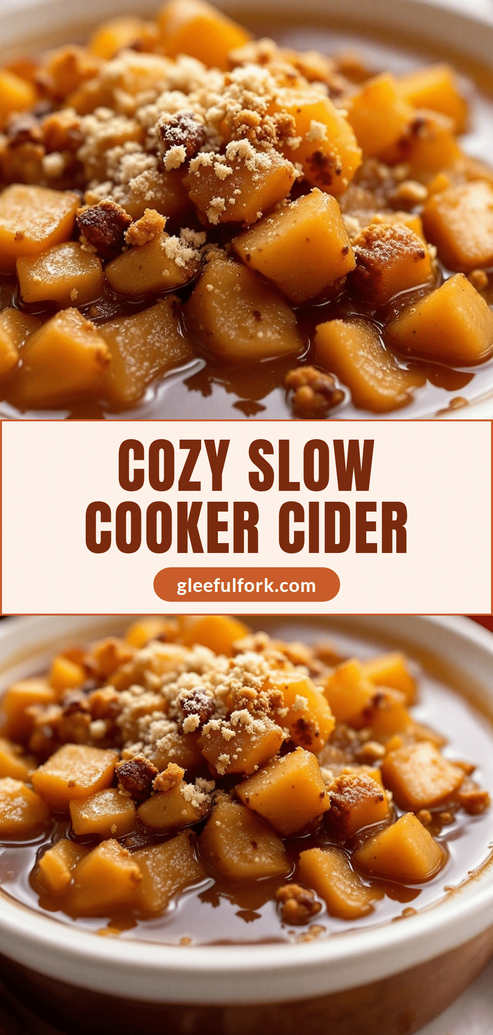 slow cooker spiced apple cider recipe