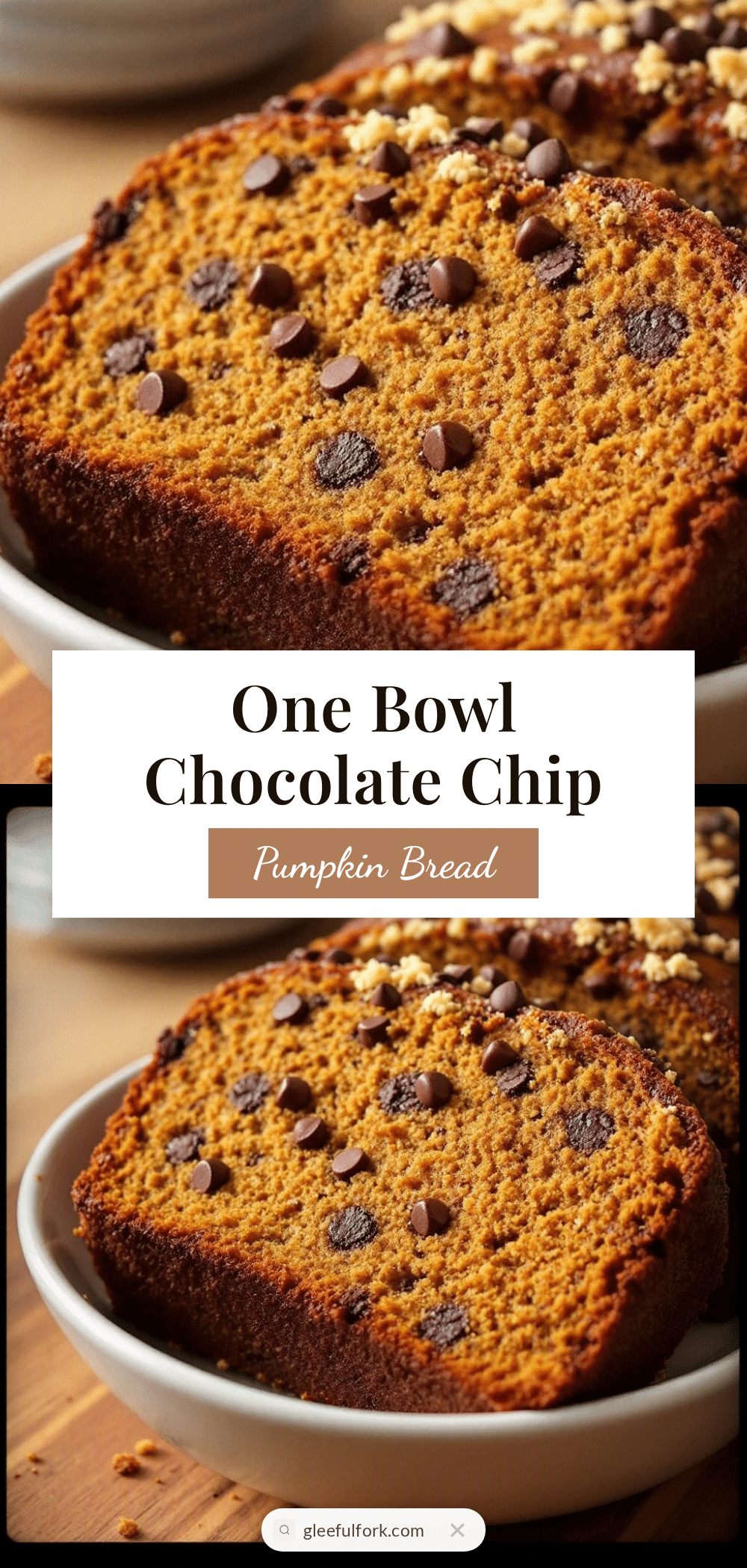 chocolate chip pumpkin bread recipe