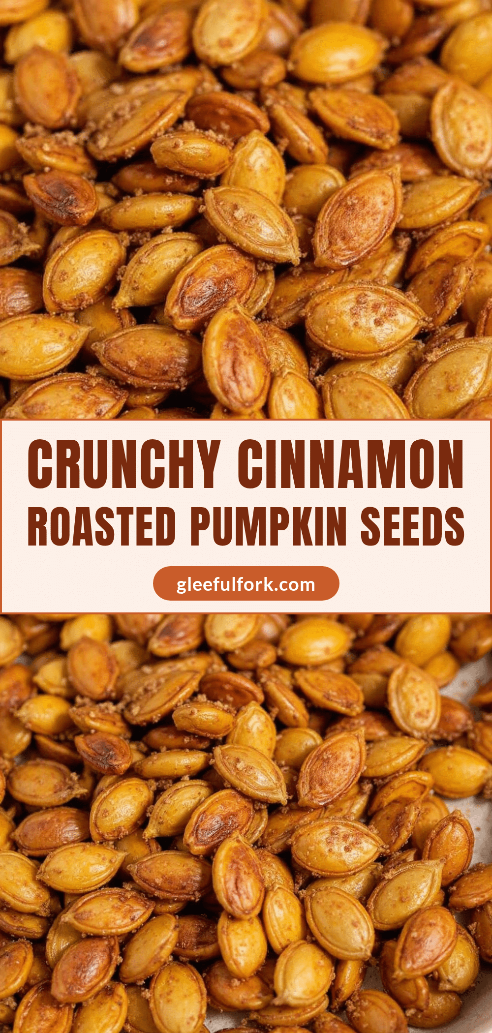 crispy cinnamon sugar roasted pumpkin seeds recipe