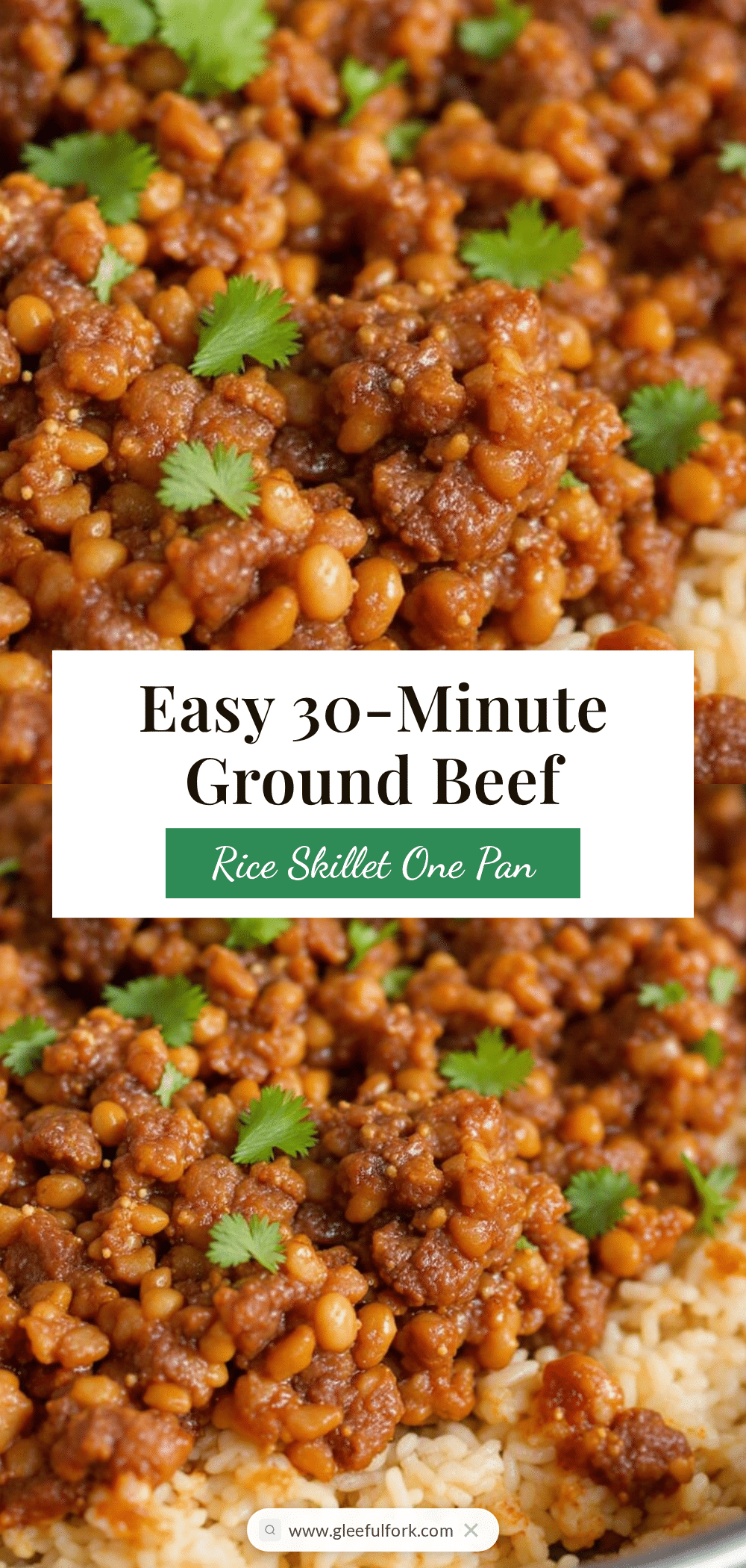 easy ground beef and rice skillet recipe