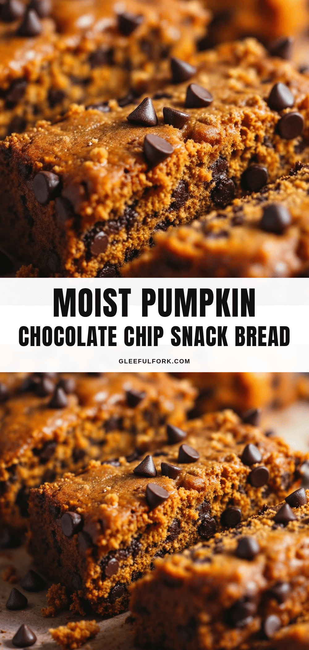 moist pumpkin chocolate chip snack bread recipe