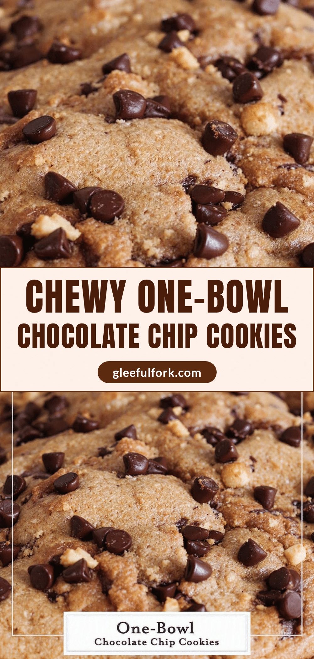 one-bowl chocolate chip cookies recipe