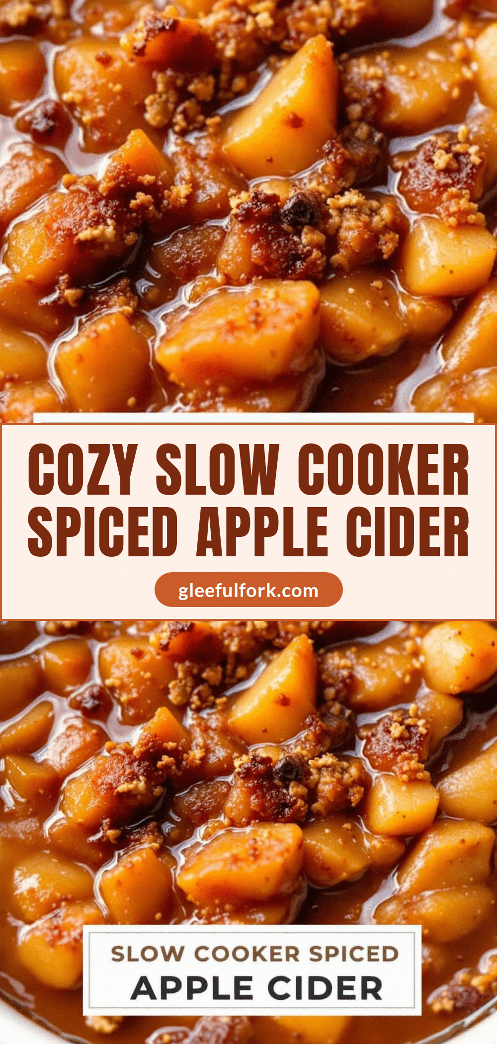 slow cooker spiced apple cider recipe