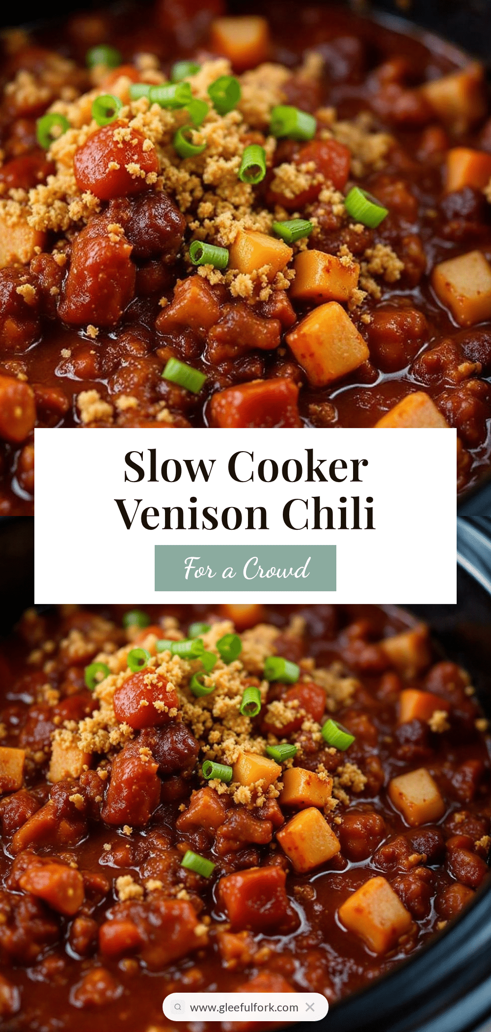 slow cooker venison chili recipe