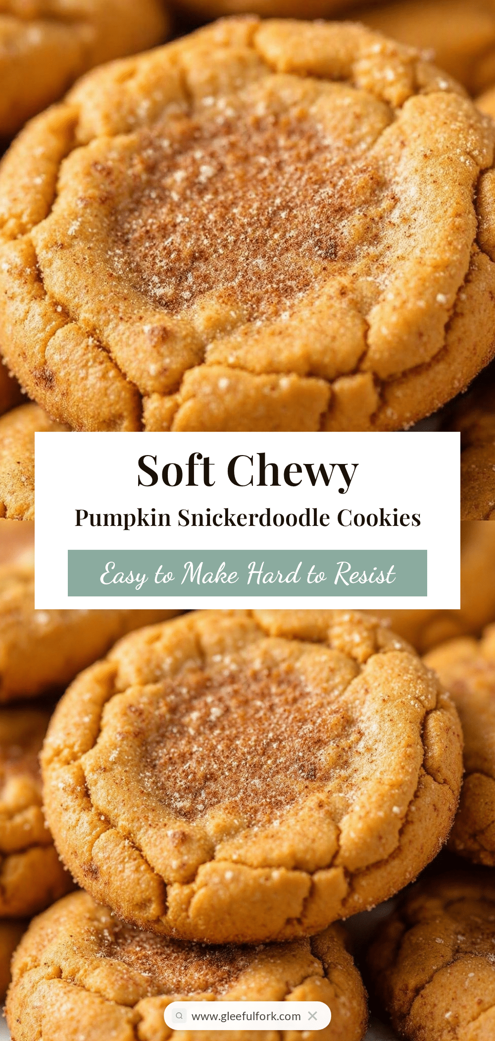 soft chewy pumpkin snickerdoodle cookies recipe